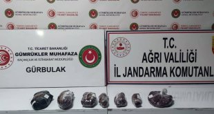 Ağrı'da servet değerinde safran ele geçirildi