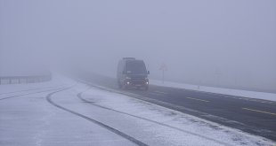 Kars ve Ardahan'da sis ulaşımı aksattı