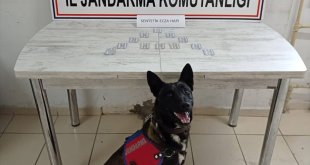 Ağrı'da çantasında uyuşturucu ele geçirilen İran uyruklu yolcu gözaltına alındı