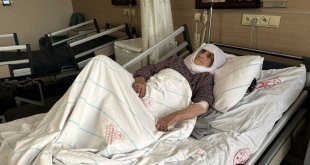 Muş'ta köpeklerin saldırısında yaralanan yaşlı kadın yaşadığı korku dolu anları anlattı