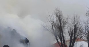 Yüksekova'da 6 bin bağ ot yandı