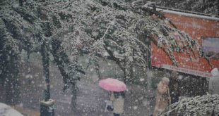 Bitlis'te yoğun kar yağışı başladı