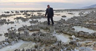 Kuraklık Van Gölü sahilini mikrobiyalit tarlasına dönüştürdü