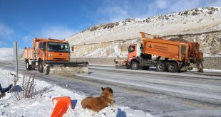 Ardahan ve Kars'ta kar ve tipi ulaşımı aksatıyor