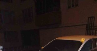 Ağrı'da bir araç alev aldı