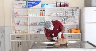 Muş'ta Sokak Hayvanları Rehabilitasyon ve Geçici Bakımevinde kış hazırlıkları tamamlandı