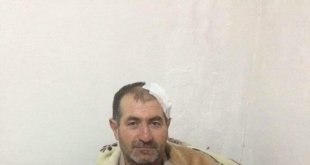 Tosunların saldırısına uğrayan adam ölümden döndü