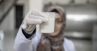 Erzurum'da süt toplama merkezi kırsaldaki kadınların geçim kaynağı oldu