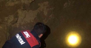 Bingöl'de 3 metrelik çukura düşen köpeği itfaiye kurtardı