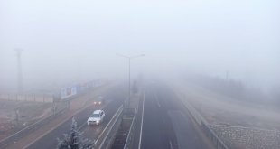 Malatya'da yoğun sis etkili oluyor