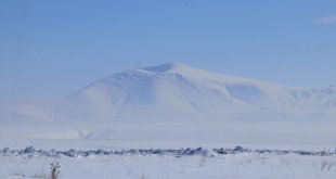 Erzurum, Kars, Ardahan, Ağrı ve Tunceli'de dondurucu soğuk etkili oluyor