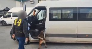 Van'da gümrük kaçakçılığı operasyonları