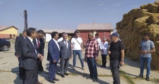 DAP'ta proje sayısında Erzurum, harcama rakamında Malatya şampiyon