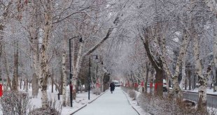 Erzurum'da kar yağışı şehri beyaza bürüdü
