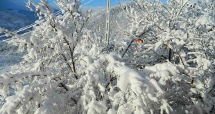 Posof'ta yoğun kar etkili oluyor