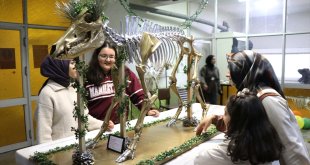 Topladıkları hayvan kemiklerini anatomi dersi için iskelete dönüştürdüler