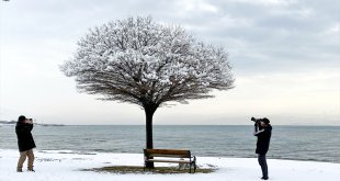Van ve Bitlis'te 124 yerleşim birimine ulaşım sağlanamıyor