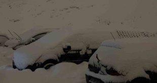 Yüksekova'da kar kalınlığı 20 santimetreyi buldu: Araçlar kara gömüldü