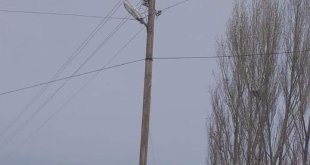 Yolda kalanların imdadına belediye ekipleri yetişti