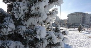Ardahan'da dondurucu soğukları: Göle -29,8 derece