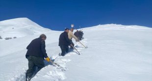 Su şebekeleri çığdan zarar gören mahalleli, başka kaynaktan hat çekerek evlere su ulaştırdı