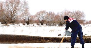 Ağrı'da yaban hayvanları unutulmadı