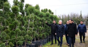 Yeşilyurt Belediyesi fidanlık alanı, Yeşilyurt'a nefes oluyor