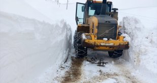 Bitlis'te ekipler karla mücadele çalışmalarını sürdürüyor