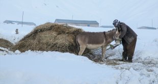 Hakkari'de karla kaplı köylerde günlük yaşam zorlu geçiyor