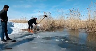 Yüzeyi donmuş nehirde buzu kırıp balık avlıyorlar