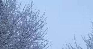 Patnos'ta köy yolları ulaşıma kapandı