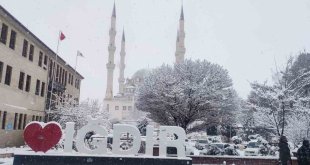 Iğdır'da kar yağışı etkili oluyor