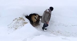Bahçesaray'da kar etkili oluyor