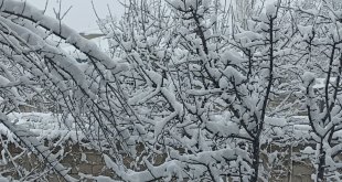 Erciş'te kar yağışı etkili oldu