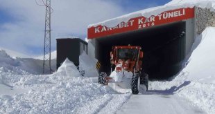 Dicle Nehri'nin çatısını oluşturan Bahçesaray ve Çatak çaylarındaki su seviyesi düştü