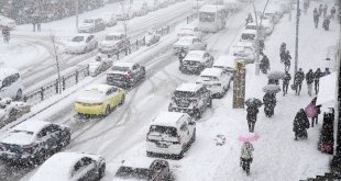 Muş ve Bitlis'te kar yağışı etkili oldu