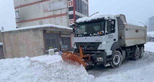 Başkale kara teslim oldu