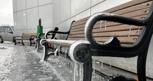 Ağrı'da kar yağışının ardından don etkili oldu