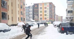 Muş'ta kar yağışı hayatı olumsuz etkiledi