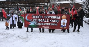 Erzurum'da sağlıkçılar kar yağışı altında Gazze için "sessiz yürüyüş" gerçekleştirdi