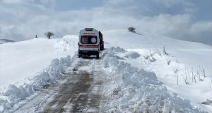 Muş'ta yolu kapanan köylerdeki hastalar, ekiplerin çabasıyla hastaneye ulaştırıldı