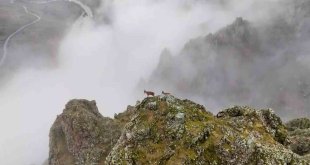 Belgeselleri aratmayan görüntüler Erzincan'da çekildi