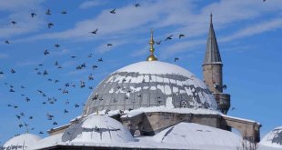 Erzurum'da termometreler -24,6'yı gösterdi