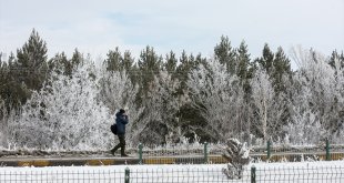 Erzurum, Ardahan, Kars ve Tunceli'de kar, Iğdır'da ise soğuk hava etkili oldu
