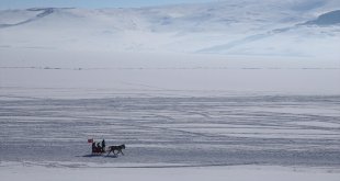Yüzeyi kar ve buzla kaplı Çıldır Gölü'nde atlı kızak heyecanı sürüyor