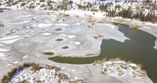 Yüzeyi buzla kaplanan Ahlat'taki 'Kuş Cenneti' dronla görüntülendi