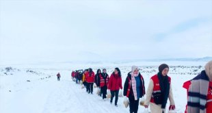 Ağrı Dağı'nın karla kaplı eteklerine yaban hayvanları için buğday bırakıldı