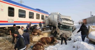 Hayvan yüklü tıra tren çarptı: 2 kişi hayatını kaybetti