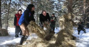 Ardahan'da yaban hayvanları için doğaya yem bırakıldı