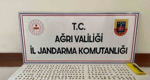 Ağrı'da tarihi eser kaçakçılığı operasyonu: 500 altın sikke ele geçirildi